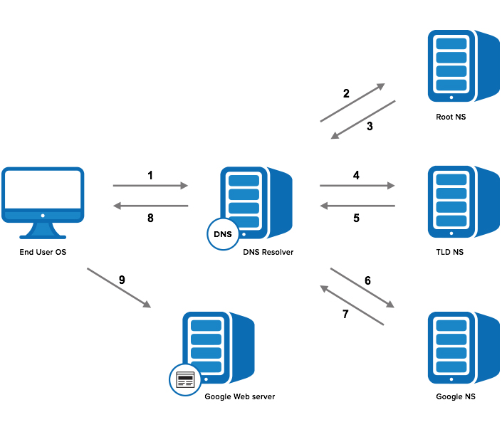 DNS